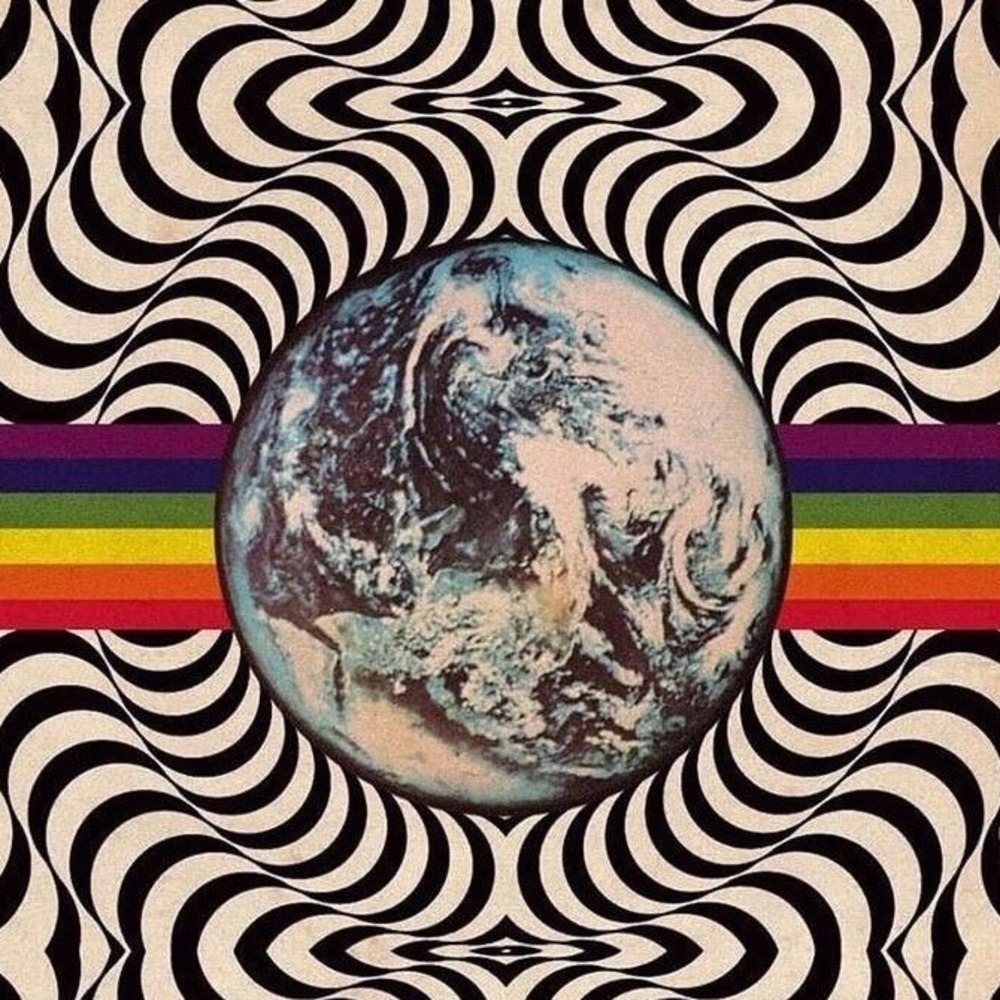 Meet your Posher, Laci